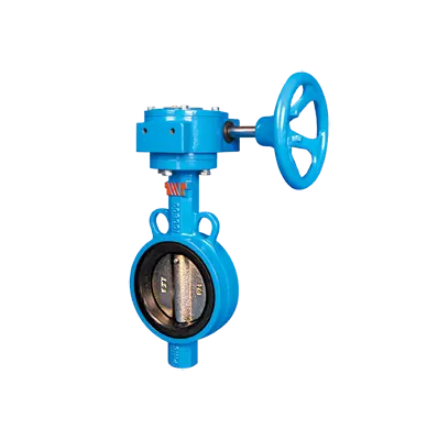 609A To Clip Butterfly Valve 2