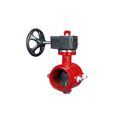 Clamp Butterfly Valve 2