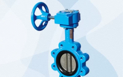 Butterfly Valves Are Constantly Being Updated And Developed Nowadays In China