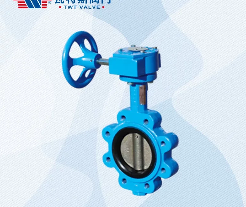 Butterfly Valves Are Constantly Being Updated And Developed Nowadays In China