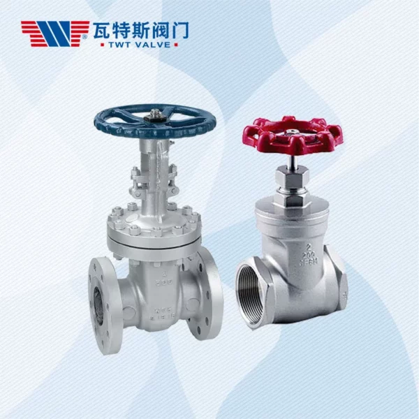 T50 F110 Series Stainless Steel Gate Valve 1
