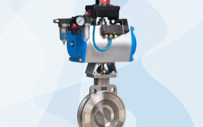 Looking At The Role Of Butterfly Valves In The Industry – A Comprehensive Evaluation