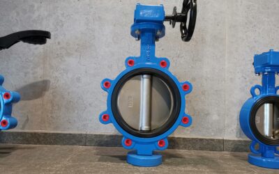 Sealing Structure And Specification Of China Butterfly Valves