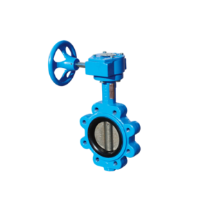 China lug type butterfly valve manufacturer