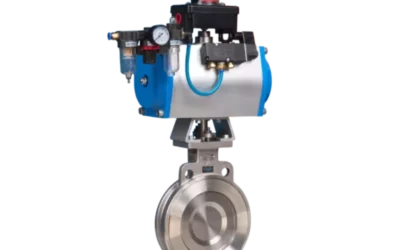 Butterfly Valve & Lift Check Valve, Which One Is Better?
