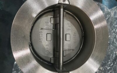Exploring TWT’s Flanged Double Door Check Valve: A Reliable Solution for Fluid Control