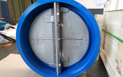 Dual Plate, Tranche, and Dual Disc Check Valves – Understanding Different Designs