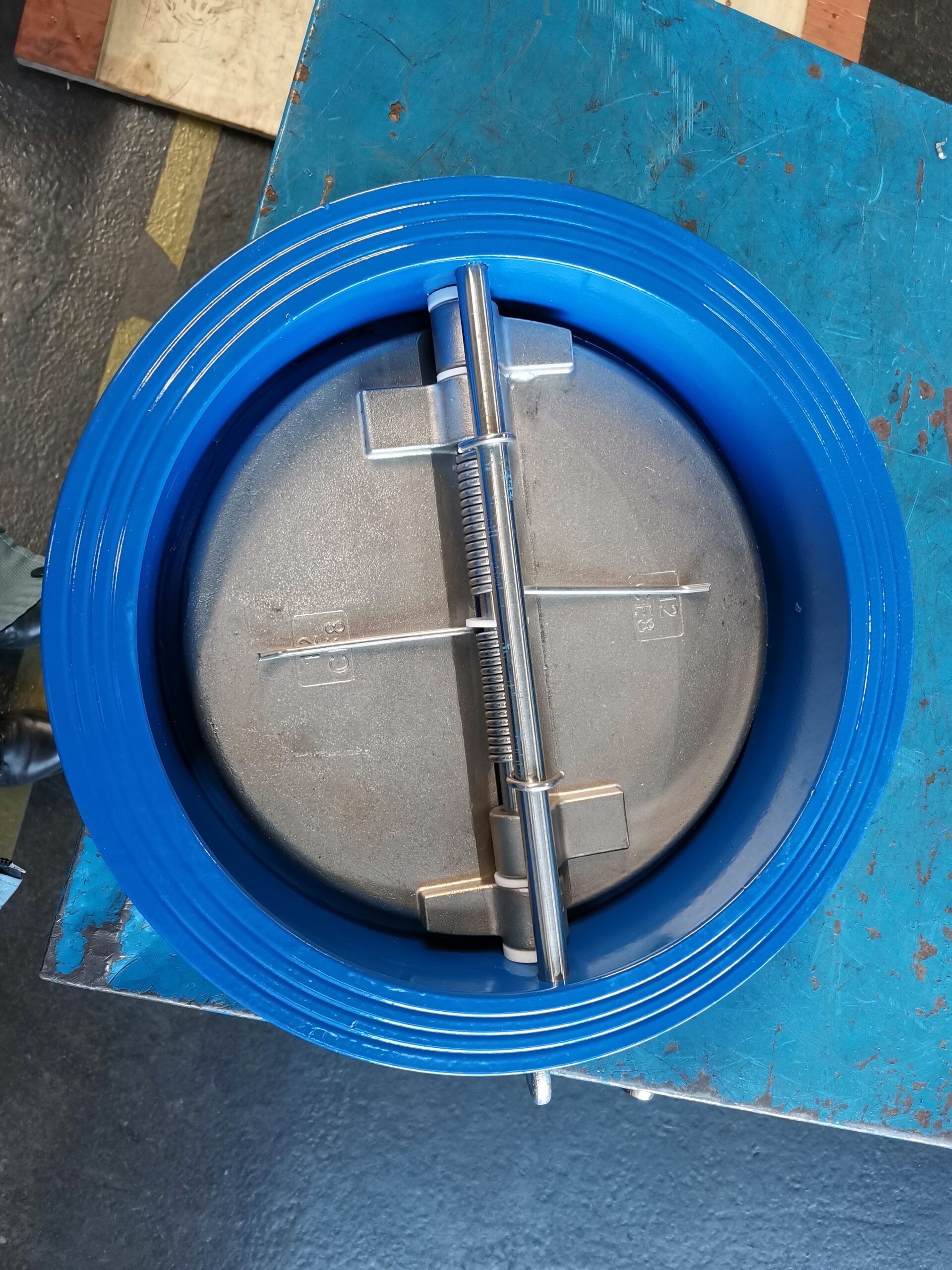 wafer dual plate check valve
