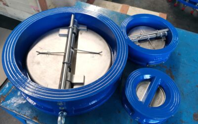 Unidirectional Control: Exploring the Versatility of Check Valves from TWT