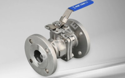 Cast Steel Gate Valve vs. Ductile Iron Gate Valve: A Comparative Analysis