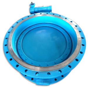 double offset high performance butterfly valve