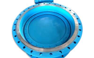 Double Offset and Double Flanged Butterfly Valves – Discussion of Differences