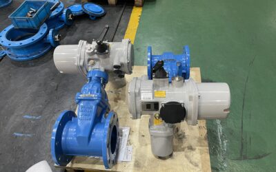 Understanding the Versatility of Gate Valves