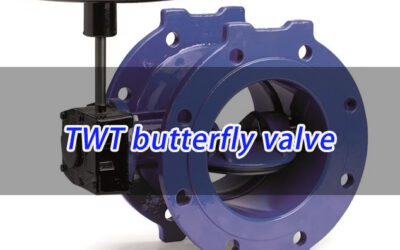 TWT Butterfly Valve: Unveiling the Brand’s Strength