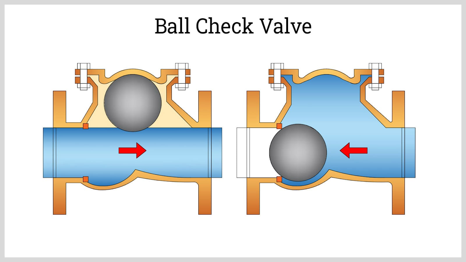 check valve
