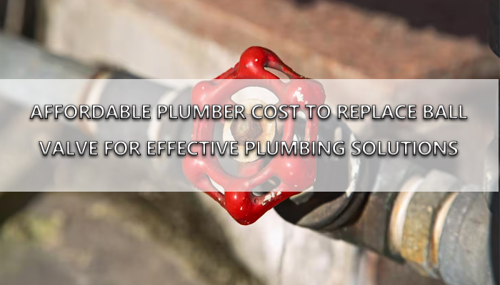 Plumber Cost to Replace Ball Valve