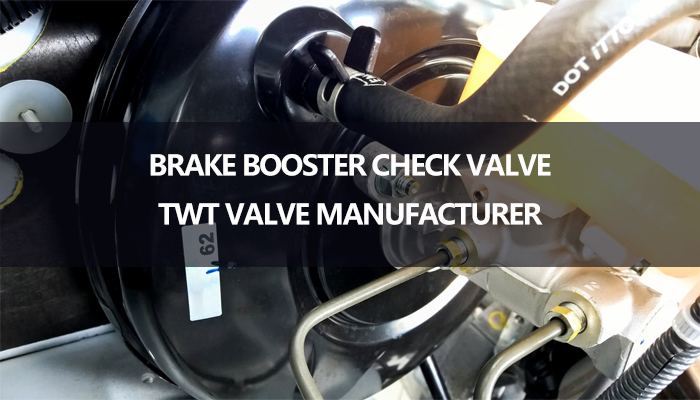 Brake Booster Check Valve