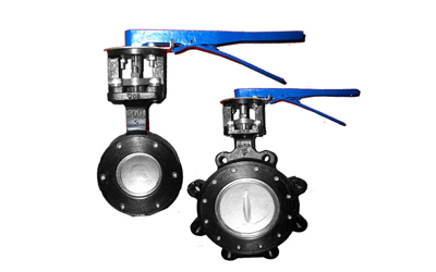 Wafer vs Lug Butterfly Valve: Difference and Method to Choose