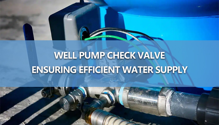 well pump check valve