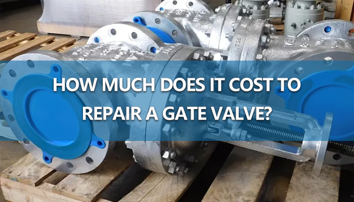 repair gate valve