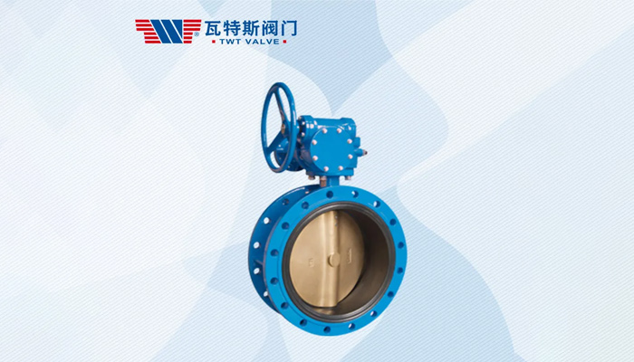 China butterfly valve