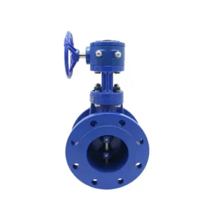 China Double Offset Butterfly Valve