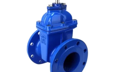 Exploring the Diverse World of Gate Valves