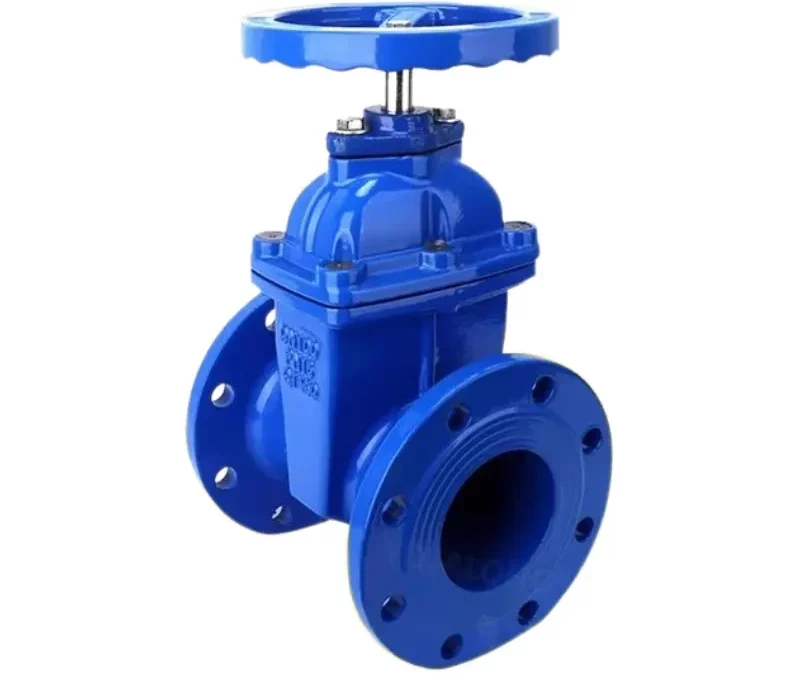 Exploring the Diverse World of Gate Valves