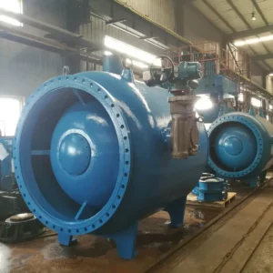Plunger Control Valve