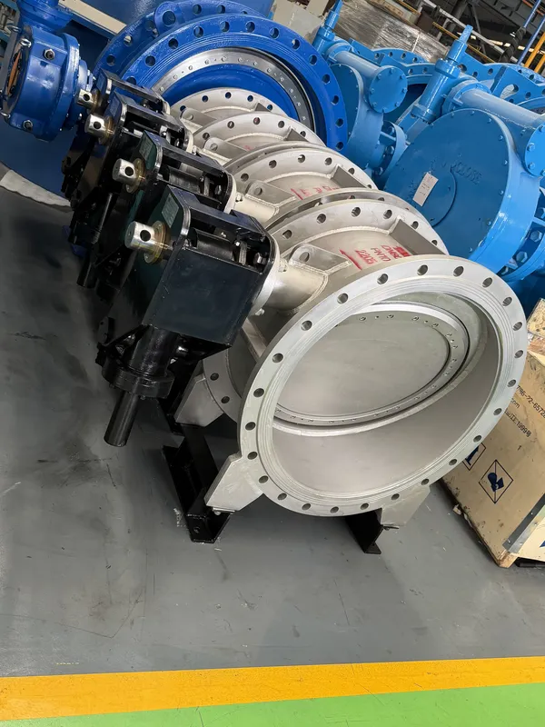Tilting check valve with heavy hammer for Seawater Desalination-1 (2) Tilting Check Valve with Hammer for Sea Water Application